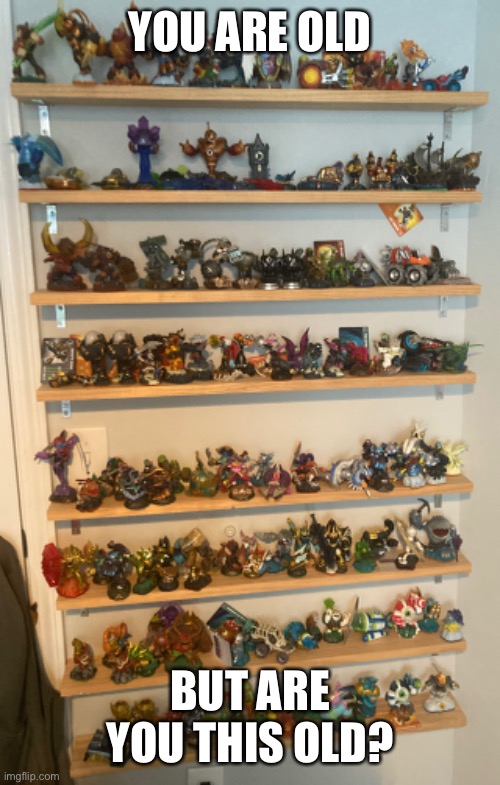 Behold, my collection | YOU ARE OLD; BUT ARE YOU THIS OLD? | image tagged in skylanders | made w/ Imgflip meme maker