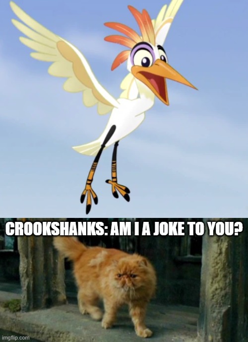 CROOKSHANKS: AM I A JOKE TO YOU? | image tagged in everyone everyone,crookshanks | made w/ Imgflip meme maker