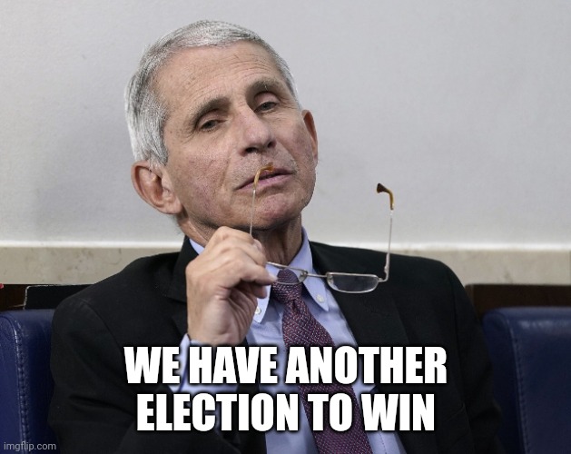 Dr. Fauci | WE HAVE ANOTHER
ELECTION TO WIN | image tagged in dr fauci | made w/ Imgflip meme maker