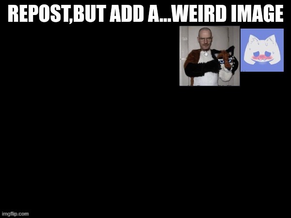 walteh | image tagged in wjrfhkev | made w/ Imgflip meme maker