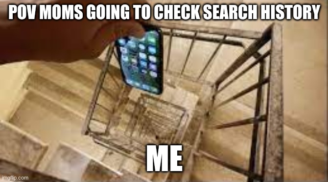 Pov checks history | POV MOMS GOING TO CHECK SEARCH HISTORY; ME | image tagged in dropping phone down stairs | made w/ Imgflip meme maker