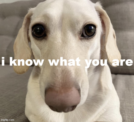 homophobic dog | i know what you are | image tagged in homophobic dog | made w/ Imgflip meme maker
