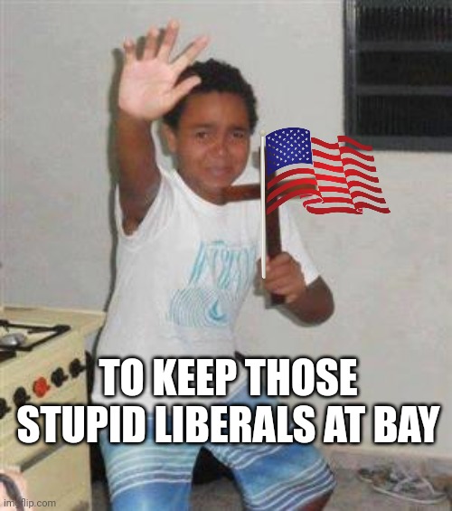 Scared Kid | TO KEEP THOSE STUPID LIBERALS AT BAY | image tagged in scared kid | made w/ Imgflip meme maker
