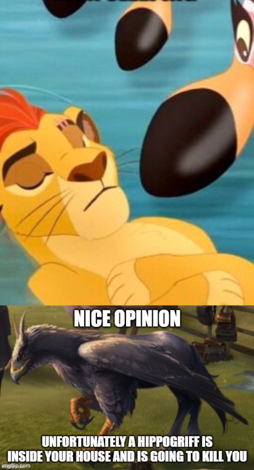 image tagged in kion sleeping for no reason,nice opinion unfortunately a hippogriff is inside your house | made w/ Imgflip meme maker