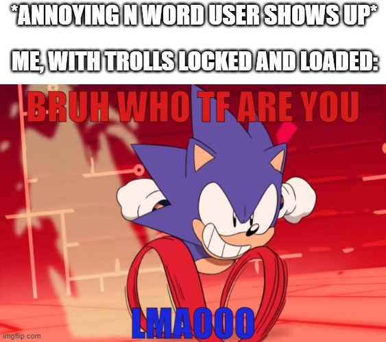 It's very true. | *ANNOYING N WORD USER SHOWS UP*; ME, WITH TROLLS LOCKED AND LOADED: | image tagged in blank white template,sonic bruh who tf are you | made w/ Imgflip meme maker