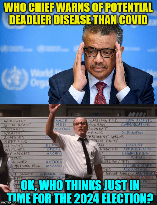 Deja Vu... all bets are off... | WHO CHIEF WARNS OF POTENTIAL DEADLIER DISEASE THAN COVID; OK, WHO THINKS JUST IN TIME FOR THE 2024 ELECTION? | image tagged in who,who had,suckers,bet,nwo police state | made w/ Imgflip meme maker