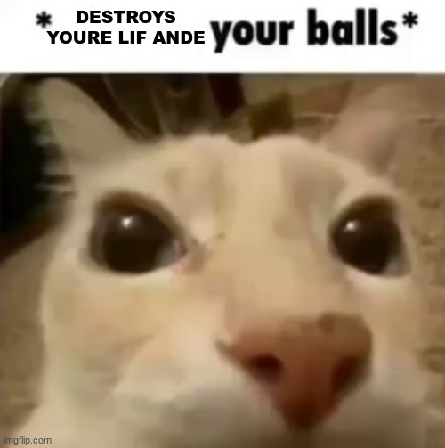 X your balls | DESTROYS YOURE LIF ANDE | image tagged in x your balls | made w/ Imgflip meme maker