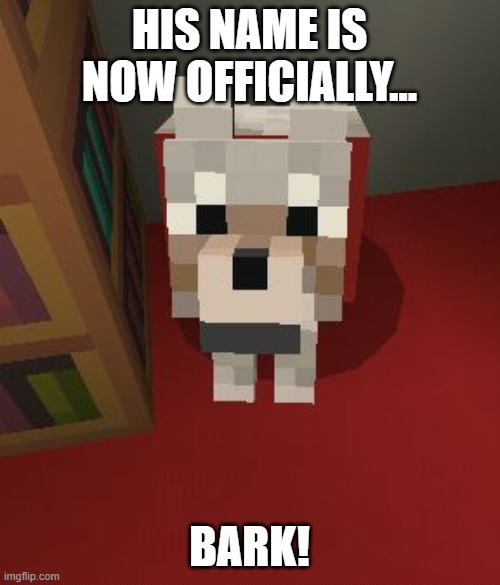 HIS NAME IS NOW OFFICIALLY... BARK! | image tagged in minecraft good boy | made w/ Imgflip meme maker
