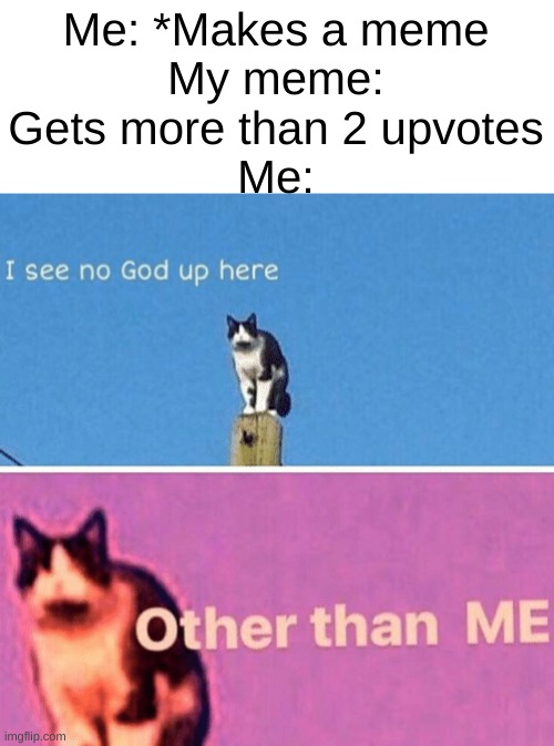 Is this what being Iceu. feels like? | Me: *Makes a meme
My meme: Gets more than 2 upvotes
Me: | image tagged in hail pole cat,lol,god,memes,iceu | made w/ Imgflip meme maker