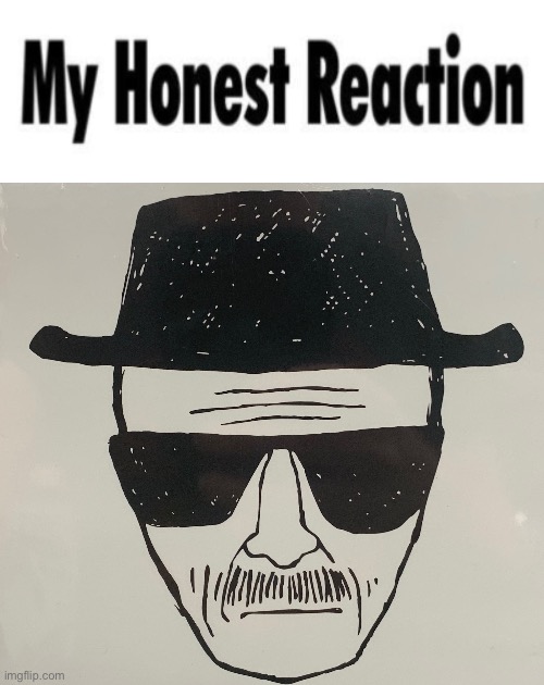 image tagged in my honest reaction | made w/ Imgflip meme maker