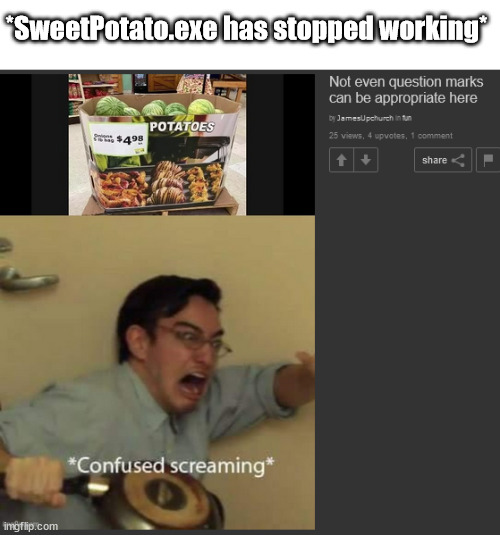 *Brain has stopped working* | *SweetPotato.exe has stopped working* | image tagged in confused | made w/ Imgflip meme maker