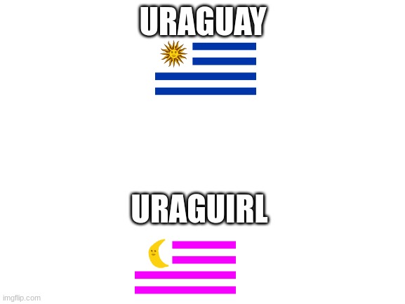 rua guirl or guay | URAGUAY; URAGUIRL | image tagged in blank white template | made w/ Imgflip meme maker