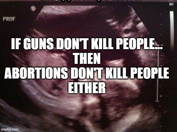 see how that works? | IF GUNS DON'T KILL PEOPLE...
THEN
ABORTIONS DON'T KILL PEOPLE
EITHER | image tagged in fetus cat ultrasound | made w/ Imgflip meme maker