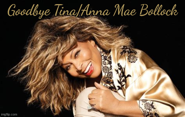 Tina | Goodbye Tina/Anna Mae Bollock | image tagged in tina turner | made w/ Imgflip meme maker