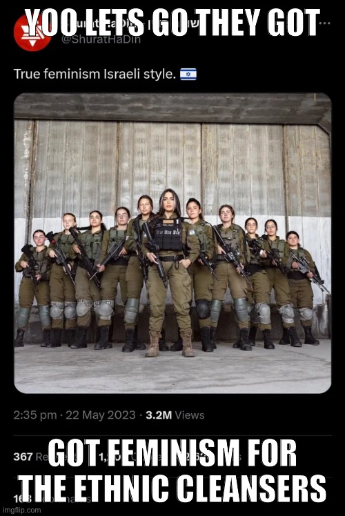 Pack it up gays, we’ve just reached peak feminism | YOO LETS GO THEY GOT; GOT FEMINISM FOR THE ETHNIC CLEANSERS | made w/ Imgflip meme maker