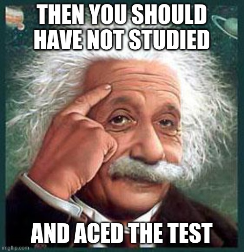 einstein | THEN YOU SHOULD HAVE NOT STUDIED AND ACED THE TEST | image tagged in einstein | made w/ Imgflip meme maker