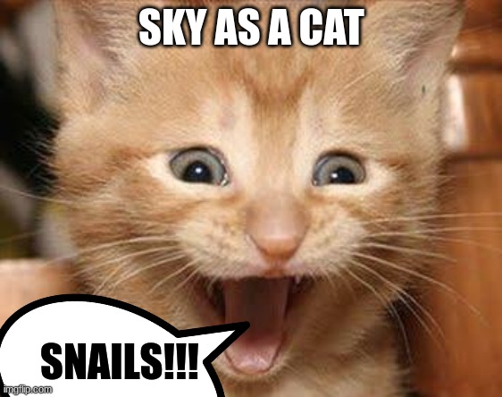 sky as a cat | SKY AS A CAT; SNAILS!!! | image tagged in sky,wof | made w/ Imgflip meme maker