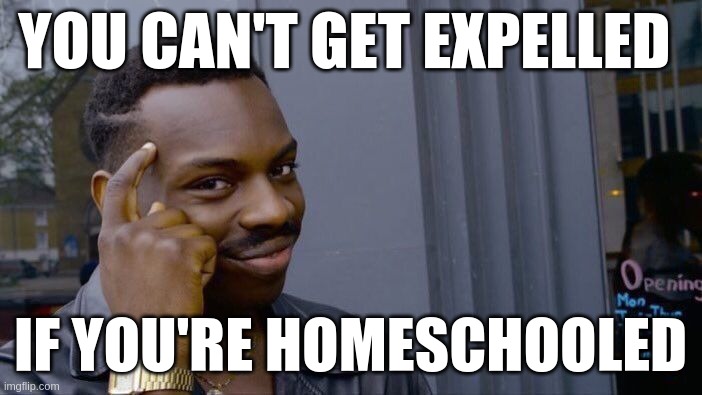 Roll Safe Think About It Meme | YOU CAN'T GET EXPELLED IF YOU'RE HOMESCHOOLED | image tagged in memes,roll safe think about it | made w/ Imgflip meme maker