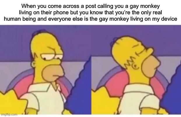 Shit-tier level meme | When you come across a post calling you a gay monkey living on their phone but you know that you’re the only real human being and everyone else is the gay monkey living on my device | image tagged in homer hmph | made w/ Imgflip meme maker