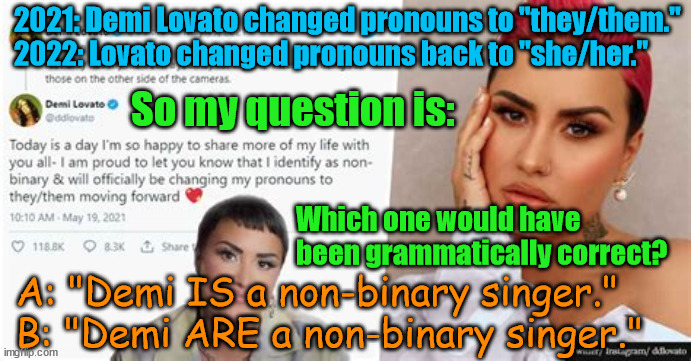 She is... They are... | 2021: Demi Lovato changed pronouns to "they/them."
2022: Lovato changed pronouns back to "she/her."; So my question is:; Which one would have been grammatically correct? A: "Demi IS a non-binary singer."
B: "Demi ARE a non-binary singer." | image tagged in memes,demi lovato,pronouns | made w/ Imgflip meme maker
