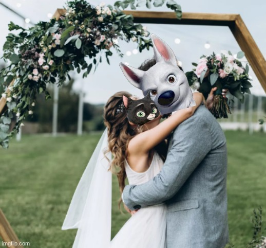 bolttens: wedding | image tagged in wedding kiss,bolt,disney,cats,dogs,wedding | made w/ Imgflip meme maker