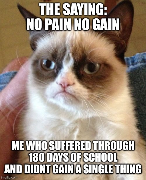 Grumpy Cat | THE SAYING: NO PAIN NO GAIN; ME WHO SUFFERED THROUGH 180 DAYS OF SCHOOL AND DIDNT GAIN A SINGLE THING | image tagged in memes,grumpy cat | made w/ Imgflip meme maker