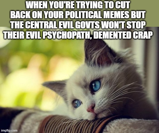 psychopath polytrixs | WHEN YOU'RE TRYING TO CUT BACK ON YOUR POLITICAL MEMES BUT THE CENTRAL EVIL GOVTS WON'T STOP THEIR EVIL PSYCHOPATH, DEMENTED CRAP | image tagged in memes,first world problems cat,politics lol,government corruption,evil government | made w/ Imgflip meme maker