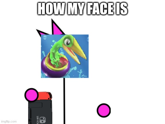 Feral with Smashy's face | HOW MY FACE IS | image tagged in feral with smashy's face | made w/ Imgflip meme maker