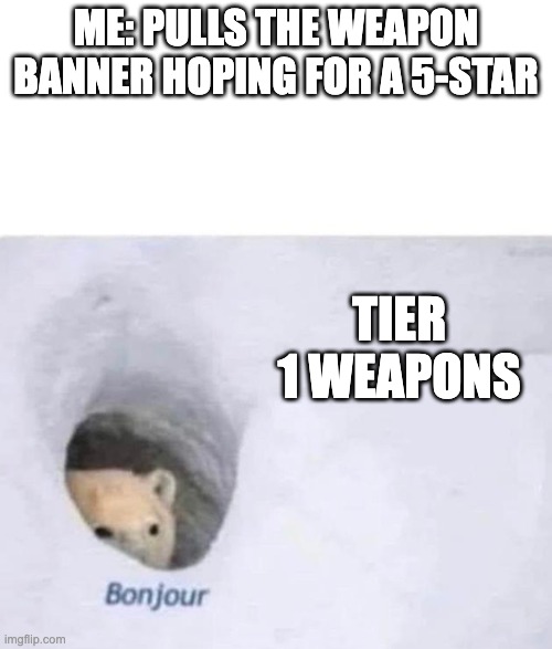 Bonjour | ME: PULLS THE WEAPON BANNER HOPING FOR A 5-STAR; TIER 1 WEAPONS | image tagged in bonjour | made w/ Imgflip meme maker