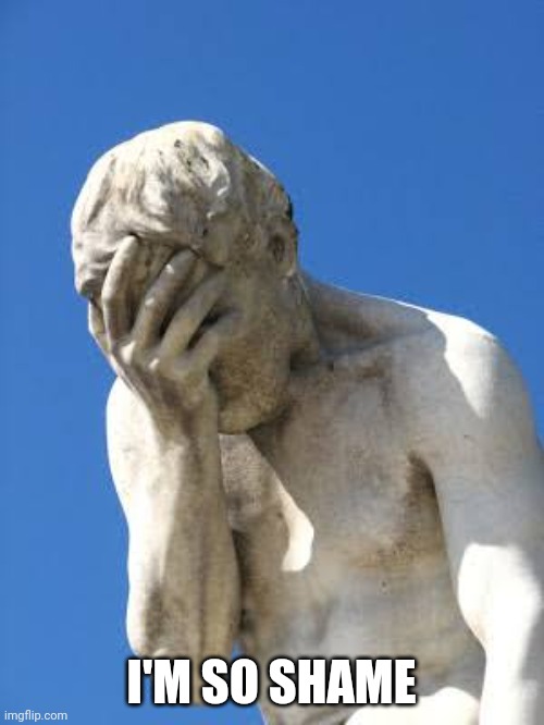 Ashamed Greek statue | I'M SO SHAME | image tagged in ashamed greek statue | made w/ Imgflip meme maker