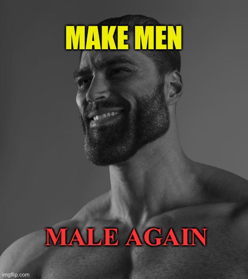 Make Men Male Again | MAKE MEN; MALE AGAIN | image tagged in sigma male | made w/ Imgflip meme maker