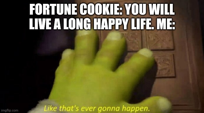 they always lie | FORTUNE COOKIE: YOU WILL LIVE A LONG HAPPY LIFE. ME: | image tagged in like that's ever gonna happen | made w/ Imgflip meme maker