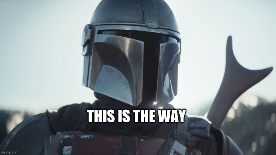 THIS IS THE WAY | image tagged in the mandalorian | made w/ Imgflip meme maker