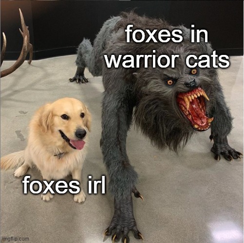 dog vs werewolf | foxes in warrior cats foxes irl | image tagged in dog vs werewolf | made w/ Imgflip meme maker
