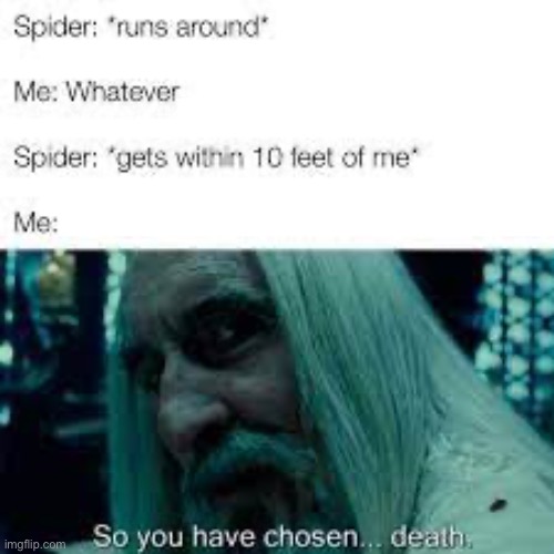 So tru | image tagged in funny,memes,spiders | made w/ Imgflip meme maker