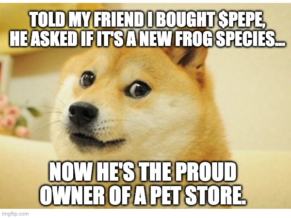 pepe | TOLD MY FRIEND I BOUGHT $PEPE, HE ASKED IF IT'S A NEW FROG SPECIES... NOW HE'S THE PROUD OWNER OF A PET STORE. | image tagged in cryptocurrency | made w/ Imgflip meme maker