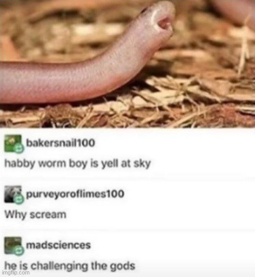 habby :D | image tagged in worm | made w/ Imgflip meme maker