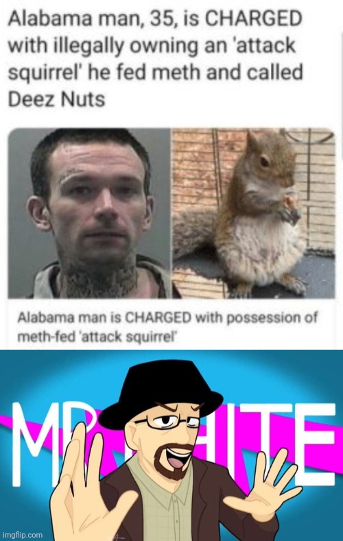An attack squirrel | image tagged in mr white,attack,squirrel,deez nuts,meth,memes | made w/ Imgflip meme maker