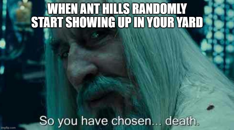 no | WHEN ANT HILLS RANDOMLY START SHOWING UP IN YOUR YARD | image tagged in so you have chosen death | made w/ Imgflip meme maker