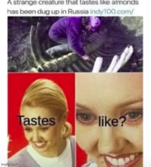 who tasted it? | image tagged in taste,test | made w/ Imgflip meme maker