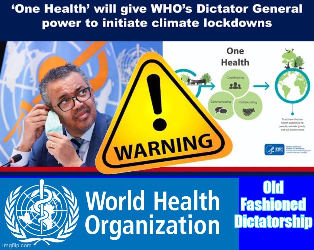 WHO ONE HEALTH DICTATORSHIP | Old
Fashioned
Dictatorship | image tagged in blue square | made w/ Imgflip meme maker