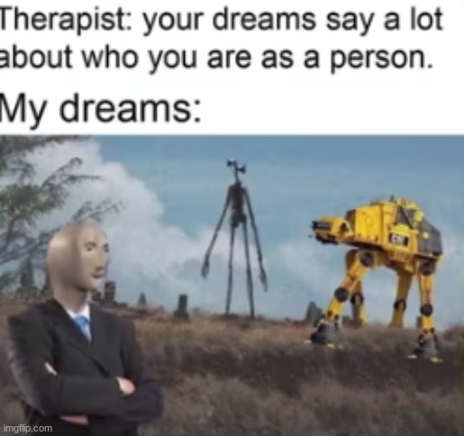 ah yes, the cAT cAT | image tagged in sleep,dreams | made w/ Imgflip meme maker