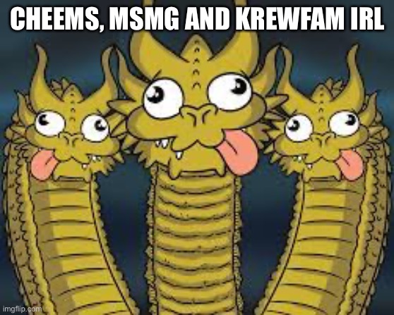 3 dragons derpy | CHEEMS, MSMG AND KREWFAM IRL | image tagged in 3 dragons derpy | made w/ Imgflip meme maker