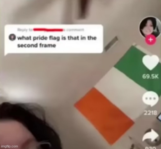 stupid tiktok people | image tagged in italy,gay pride flag,tiktok | made w/ Imgflip meme maker