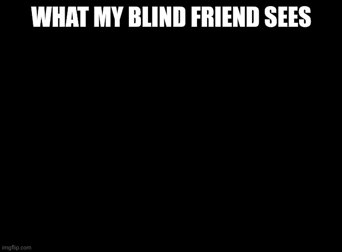 blank black | WHAT MY BLIND FRIEND SEES | image tagged in blank black | made w/ Imgflip meme maker