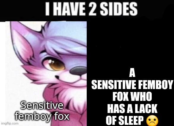 I have 2 sides | A SENSITIVE FEMBOY FOX WHO HAS A LACK OF SLEEP ☹ | image tagged in i have 2 sides | made w/ Imgflip meme maker