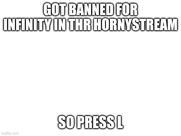 insert title | GOT BANNED FOR INFINITY IN THR HORNYSTREAM; SO PRESS L | made w/ Imgflip meme maker