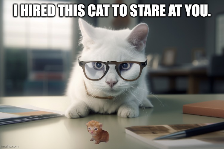 Scientist Cat | I HIRED THIS CAT TO STARE AT YOU. | image tagged in memes,cat,staring | made w/ Imgflip meme maker
