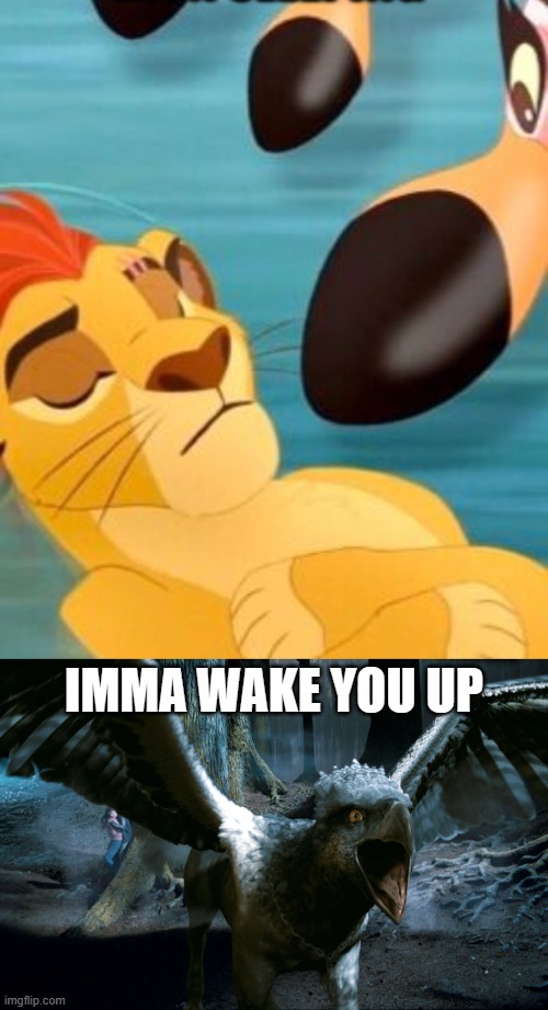 IMMA WAKE YOU UP | image tagged in kion sleeping for no reason,buckbeak charging | made w/ Imgflip meme maker
