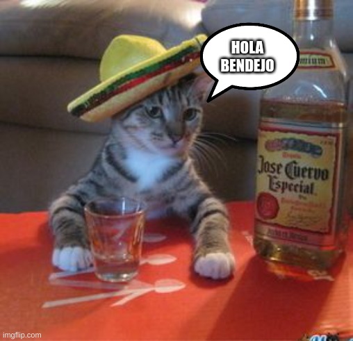 Mexican Cat | HOLA BENDEJO | image tagged in mexican cat | made w/ Imgflip meme maker